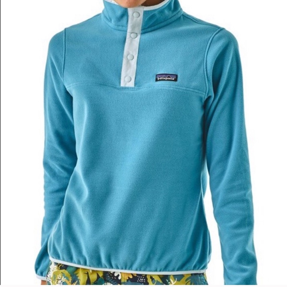 Patagonia Micro D Snap-T Pullover (XL) - Mako Blue